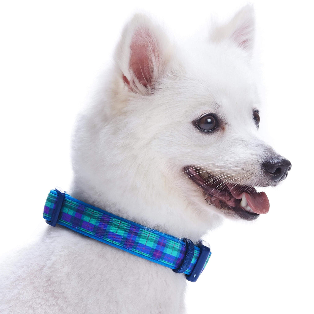 Plaid Pattern Neoprene Padded Dog Collar