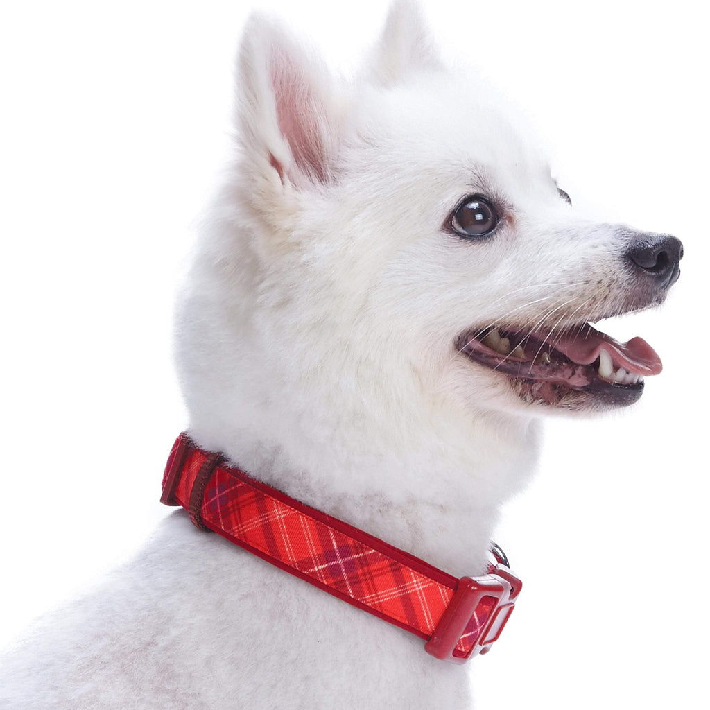 ZEEY Pet Strong Leather Adjustable Collar for Large India