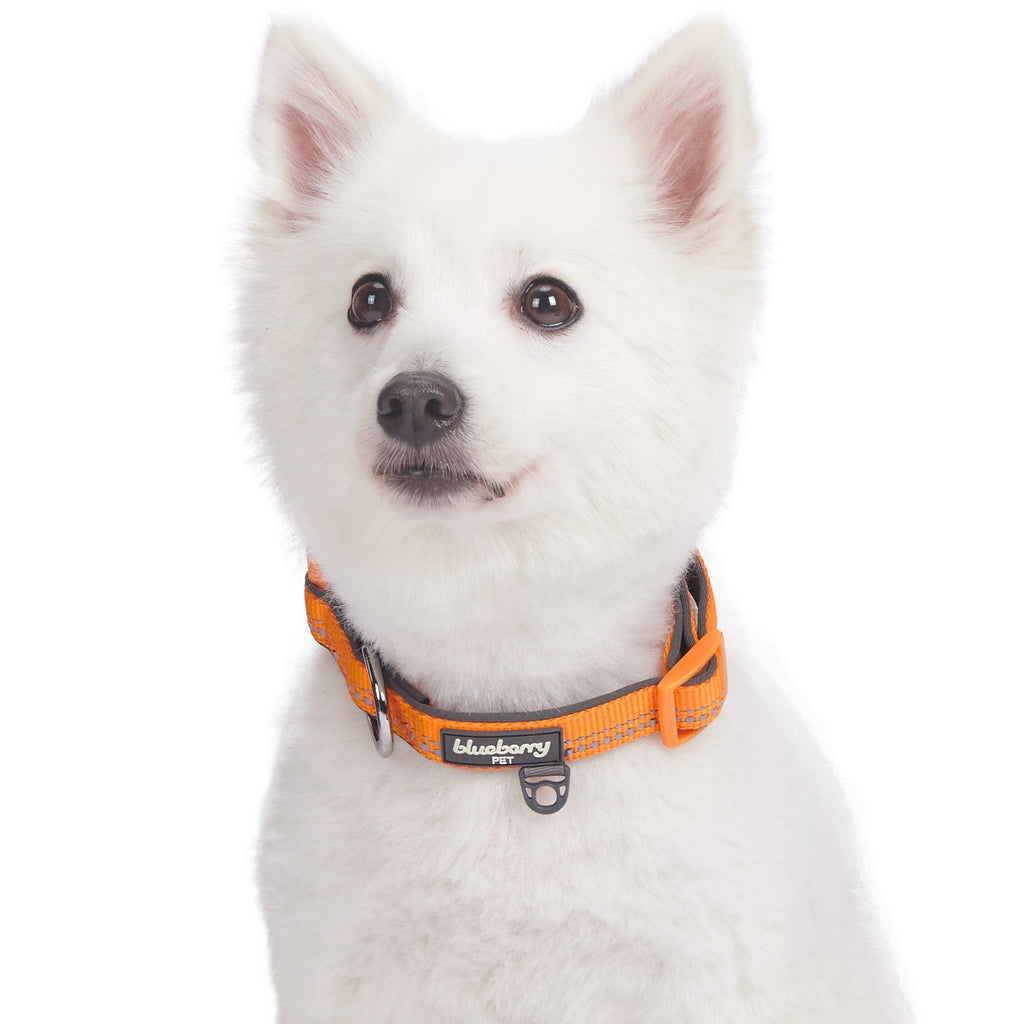 Blueberry Pet Sports Fan Football Canvas Adjustable Dog Collar