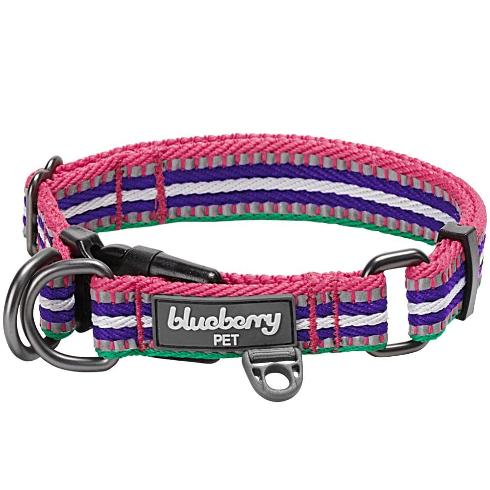 Blueberry reflective outlet dog collar