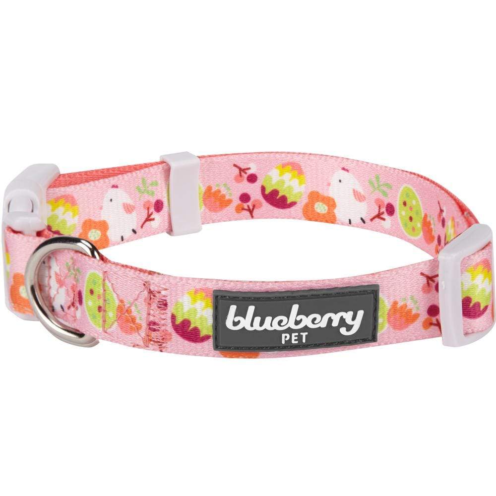 Blueberry pet retailer collars