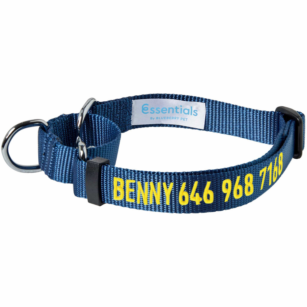 Martingale personalized outlet dog collars