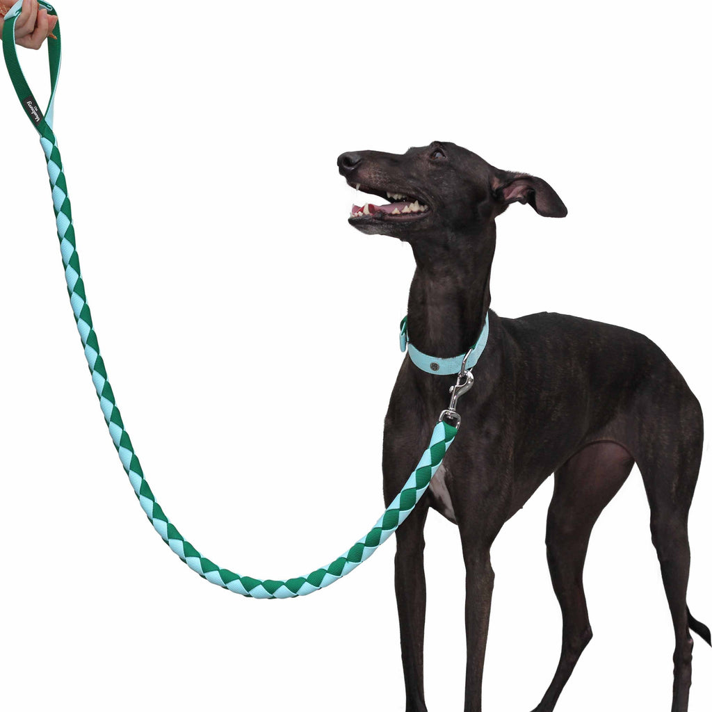 Blueberry best sale dog leash