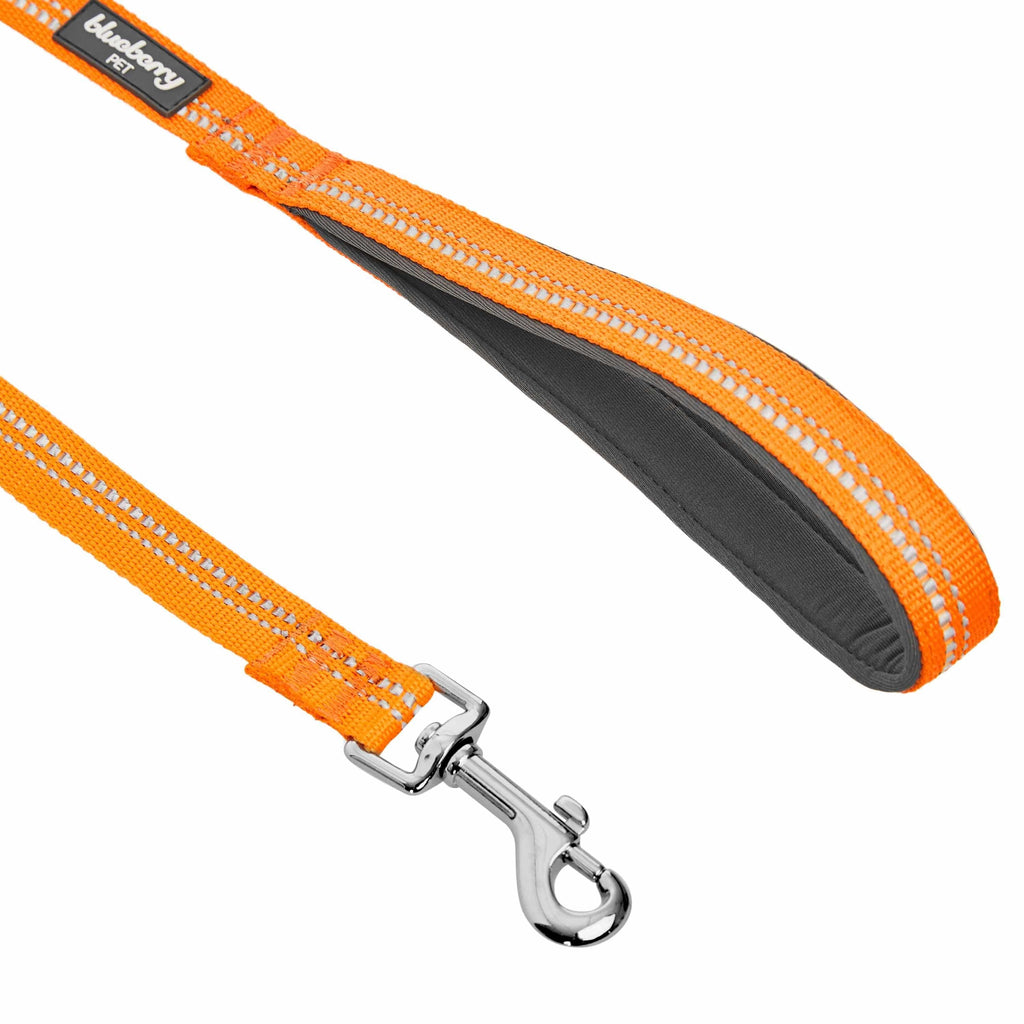 Blueberry dog leads best sale