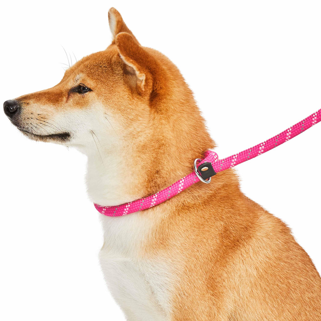 Wholesale Wholesale Custom No Pull Nylon Pet Accessories Metal Buckle Puppy Collars  Designer Dog Collar And Leash Set From m.