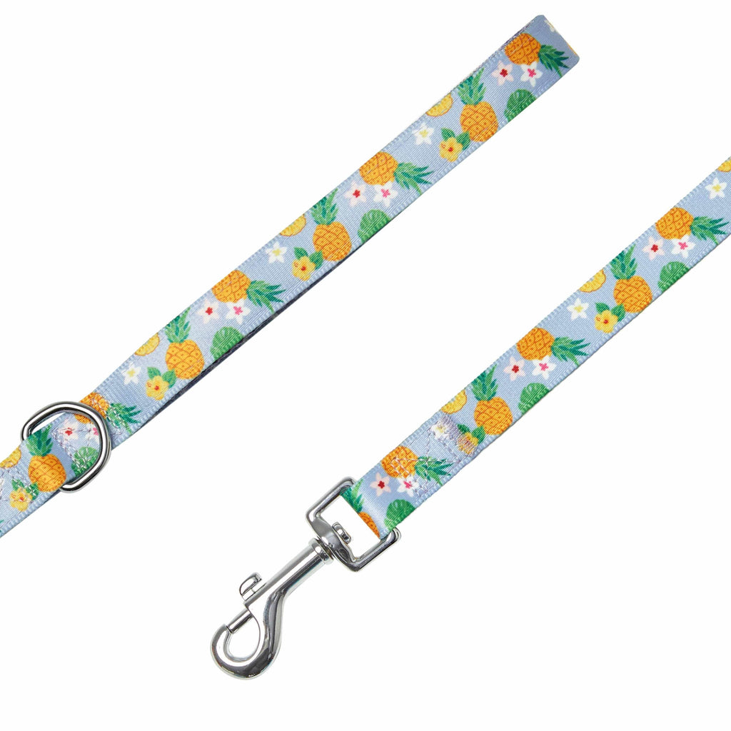 Blueberry Pet Zesty Fruit Dog Collar