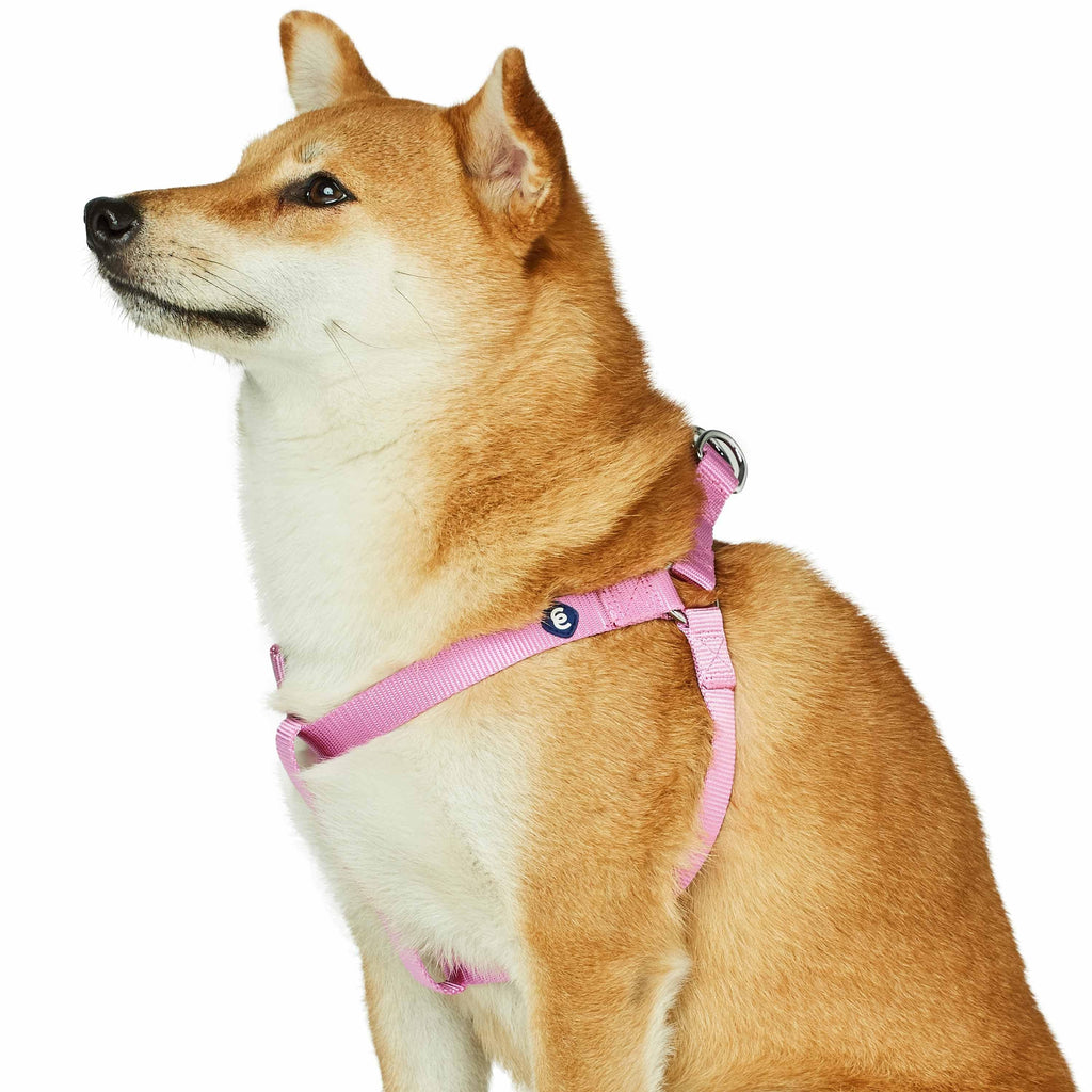 Step in Dog Harness Durable Nylon Adjustable Solid Color Harness