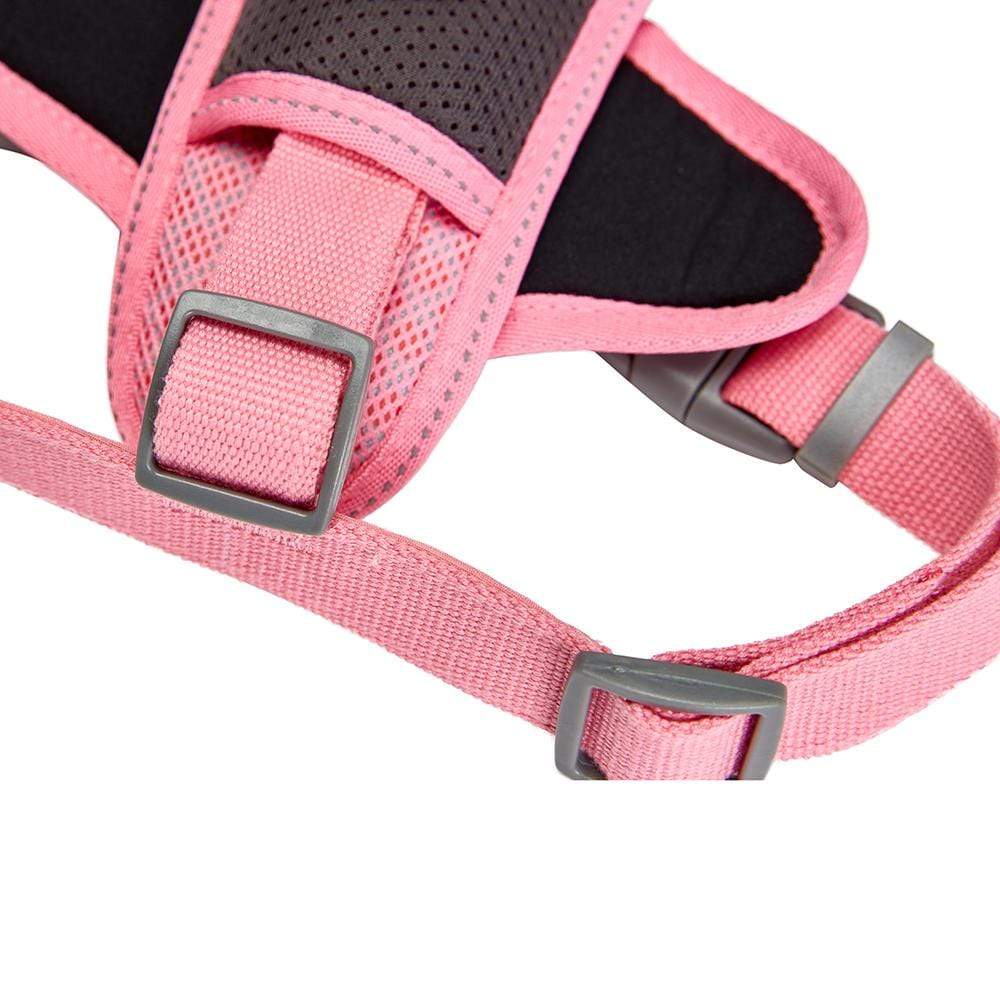 Blueberry Pet Zesty Fruit Dog Harness Vest