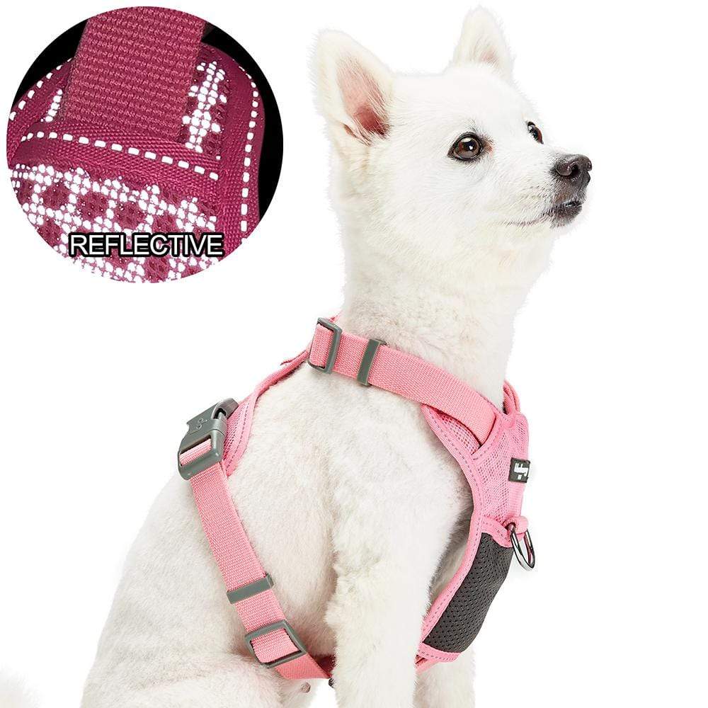  Comfort Fit, Soft Padded and Lightweight Dog Harness, Step in  Dog Vest Harness for Small & Medium Dogs, Blue, XS, Chest 11-12 : Pet  Supplies