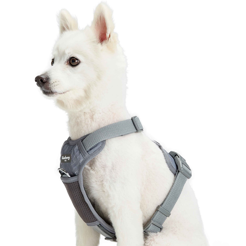 Blueberry dog harness hotsell