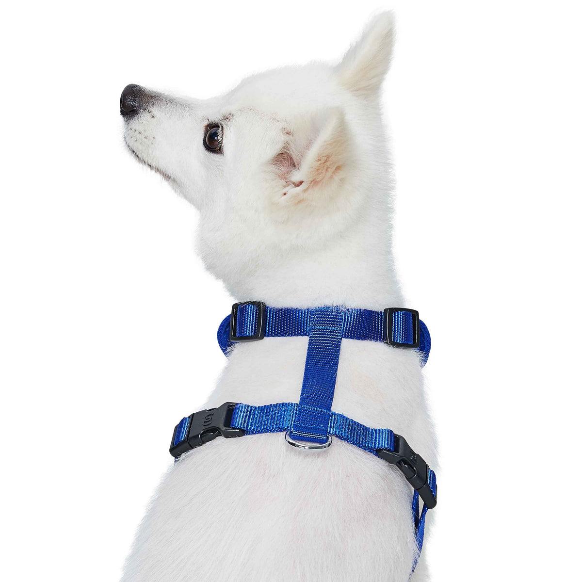 H Shape Adjustable Nylon Harness Vest for Girl Boy Dogs, Blue Pink Gre ...