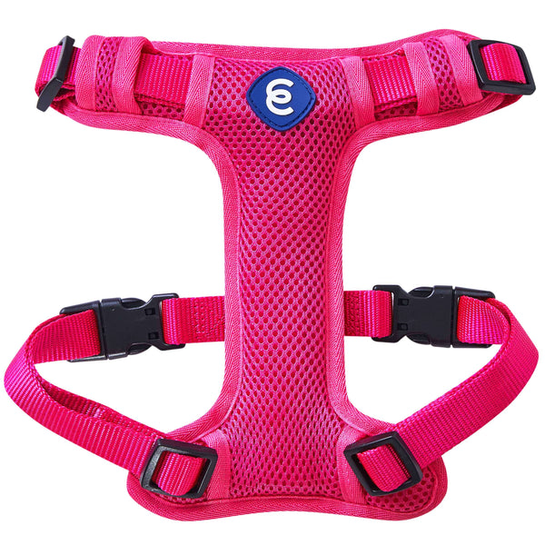 H Shape Adjustable Nylon Harness Vest for Girl Boy Dogs, Blue Pink Gre ...