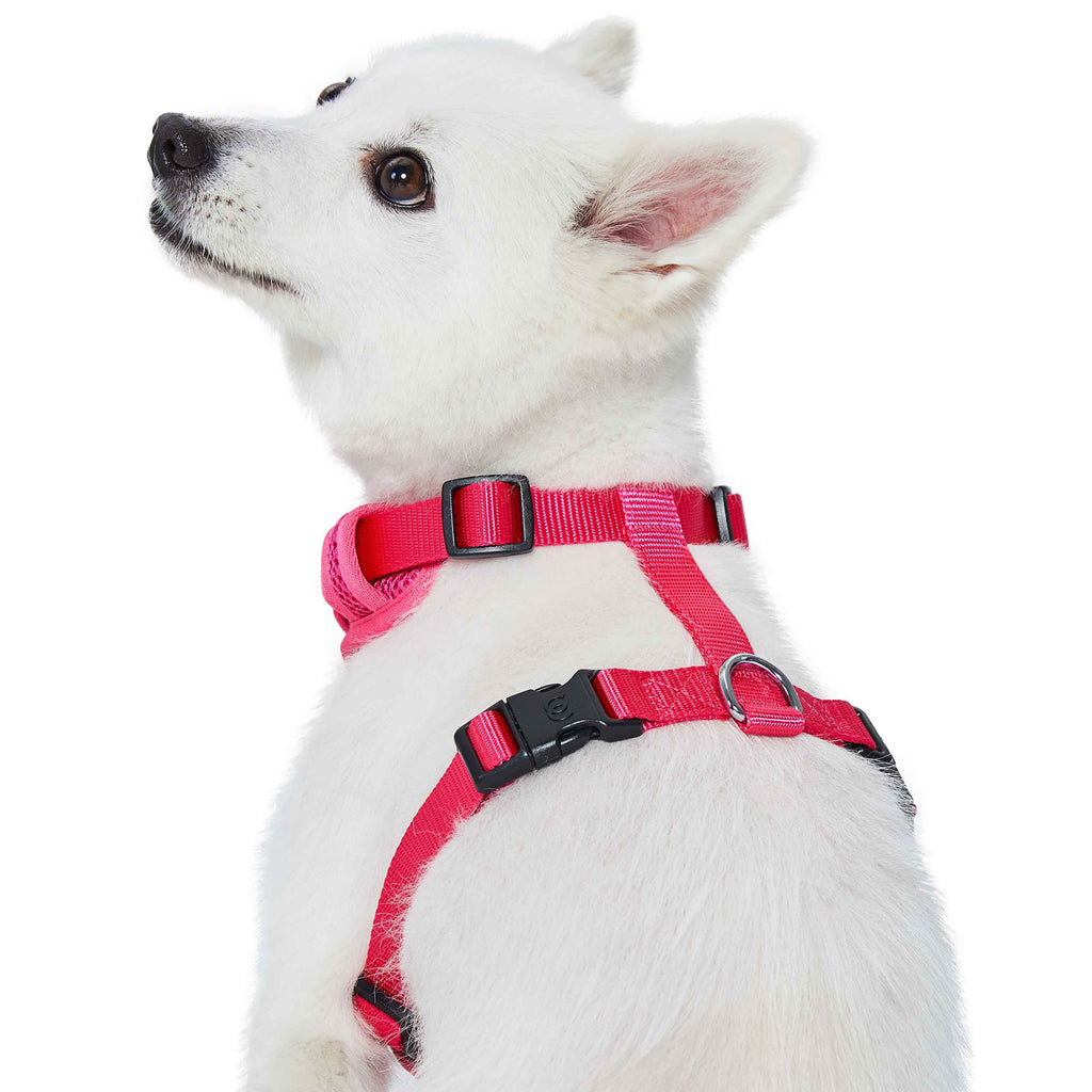 H shaped clearance dog harness