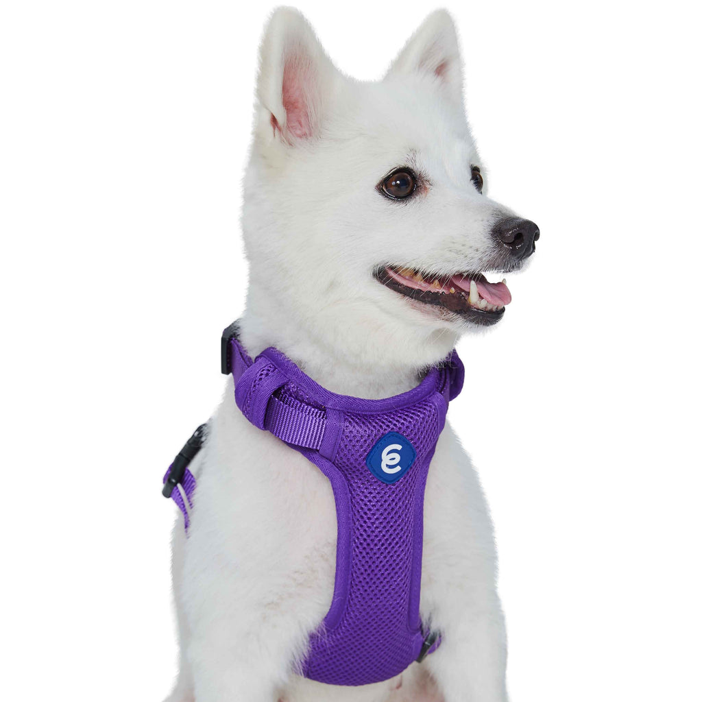 Good2go dog harness clearance how to put on