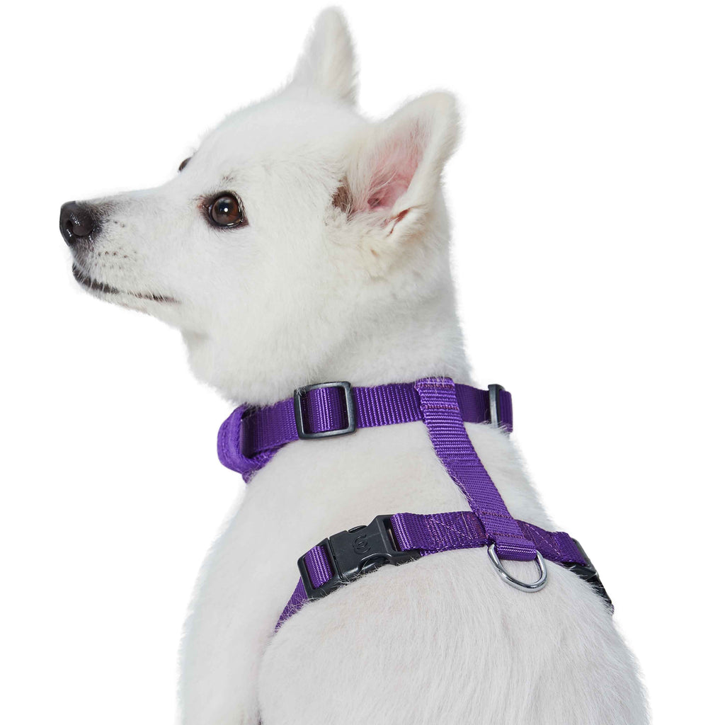 Top paw outlet dog vest