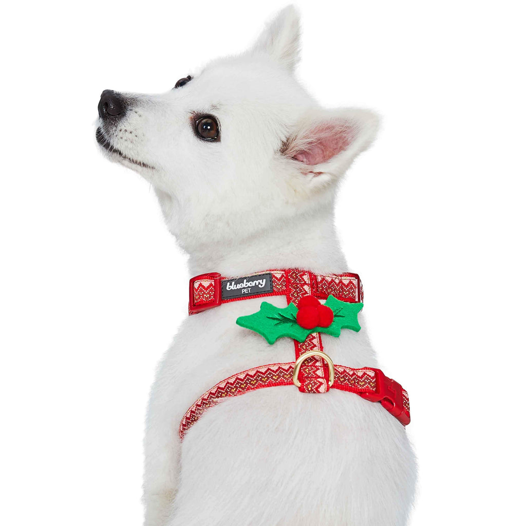 Christmas Zigzag Chevron Dog Harness Blueberry Pet