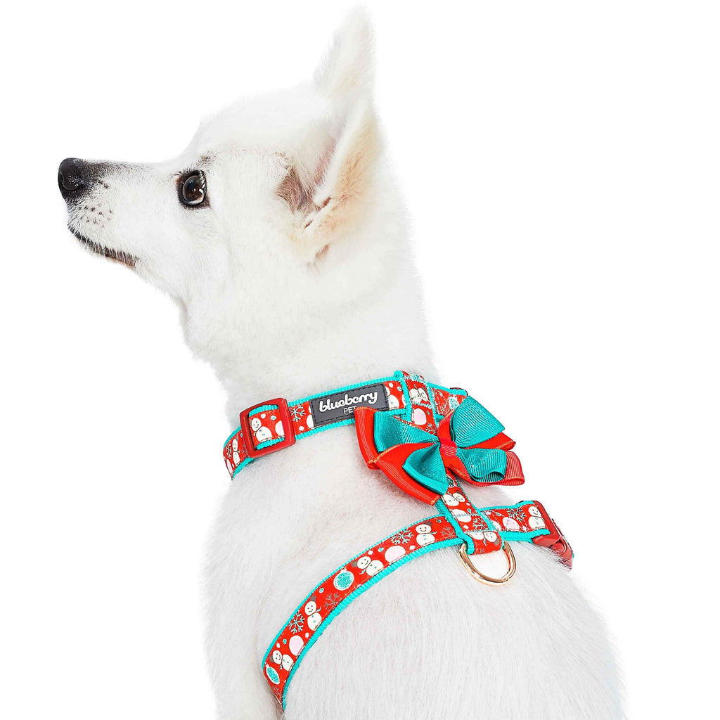 Blueberry pet christmas store collars