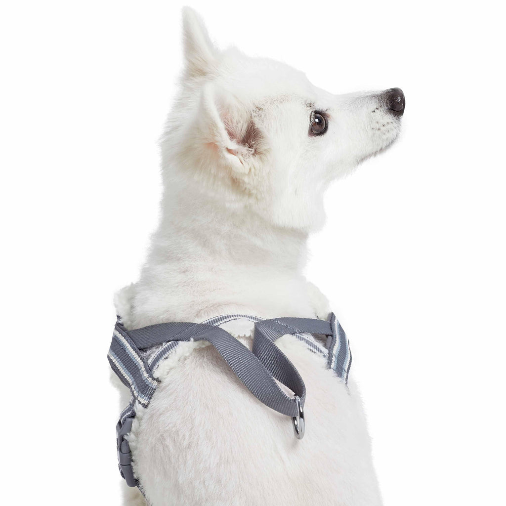 Fleece padded dog harness best sale