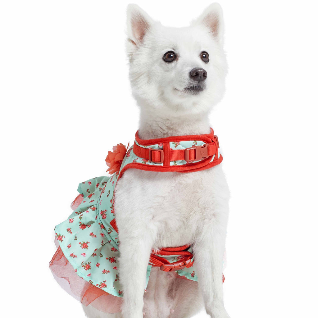 Dog Clothes & Accessories  Preppy Companion Dog Shoppe