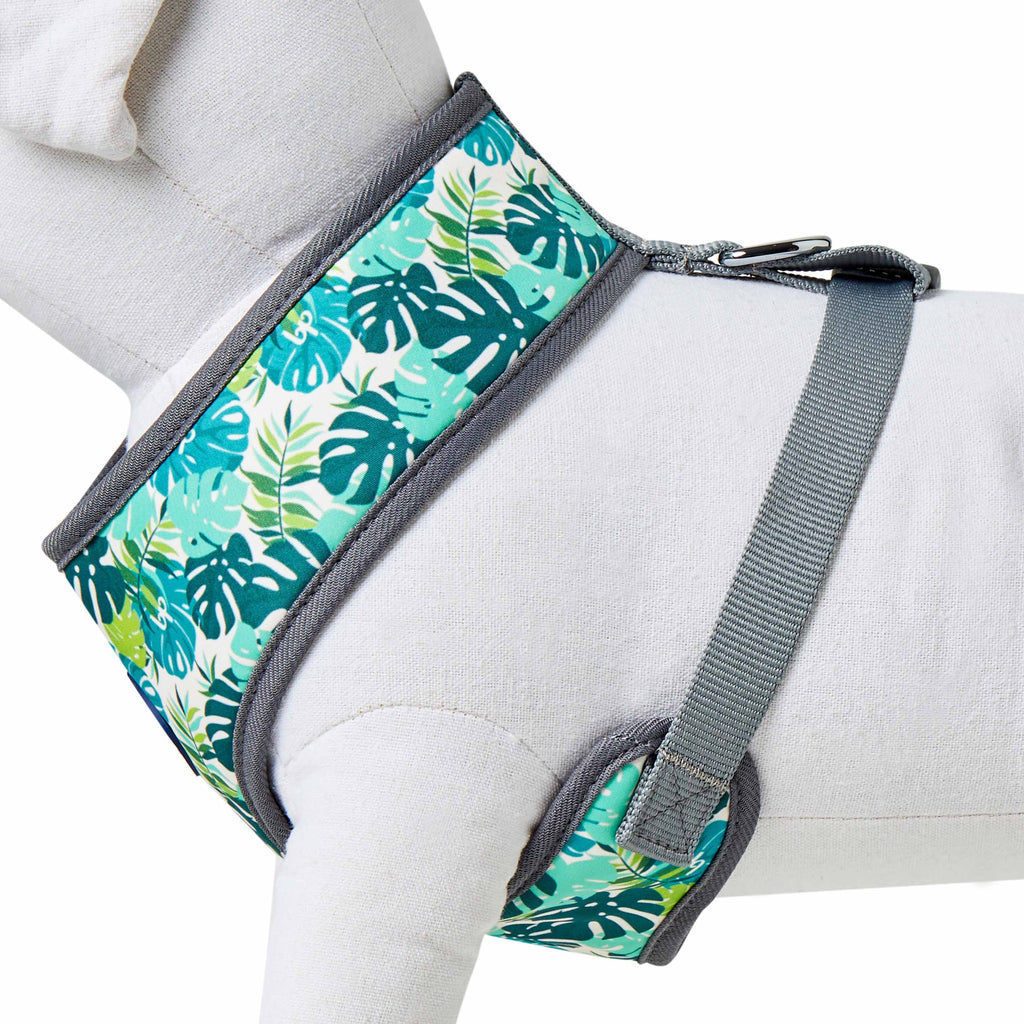 Tropical clearance dog harness