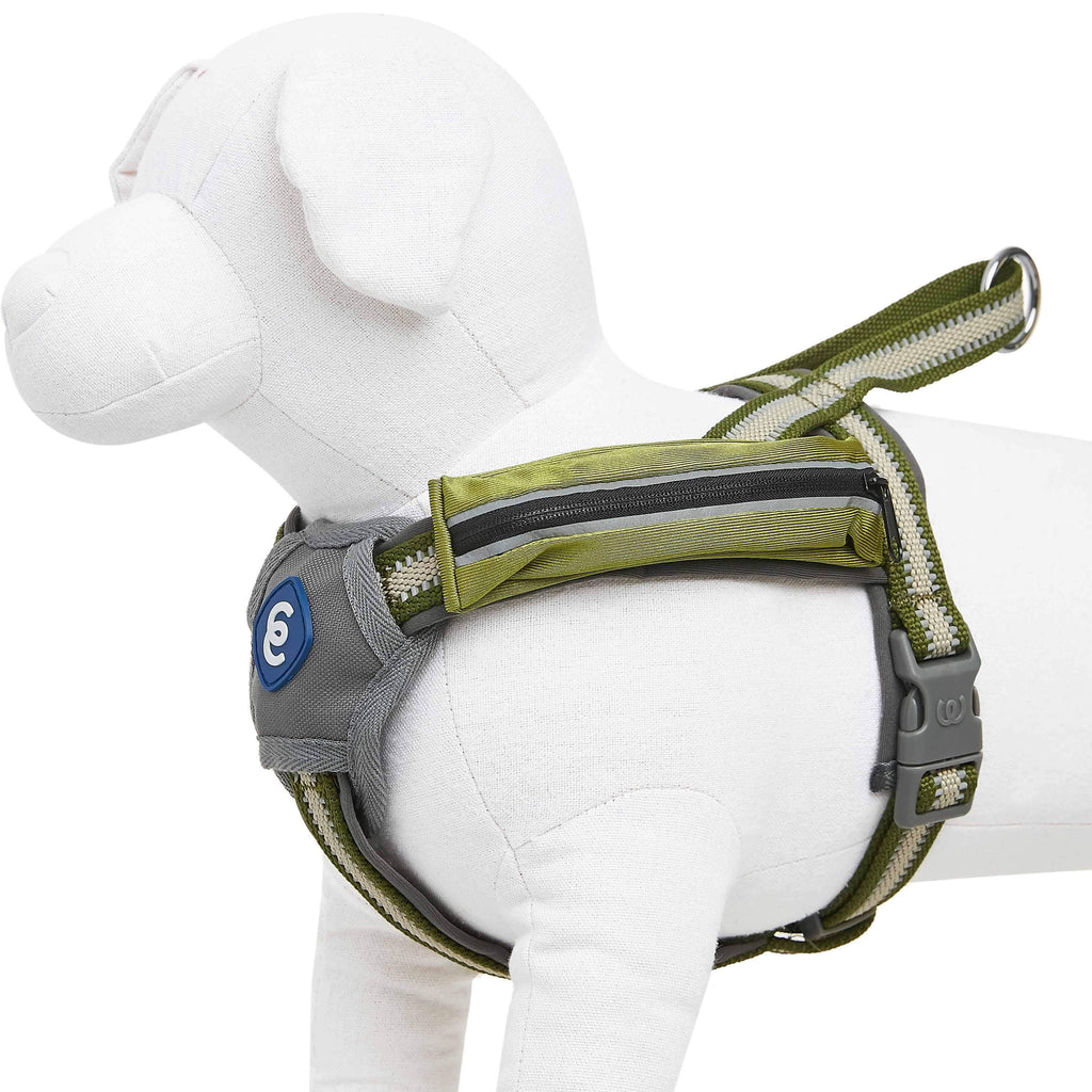 Kong reflective best sale dog harness