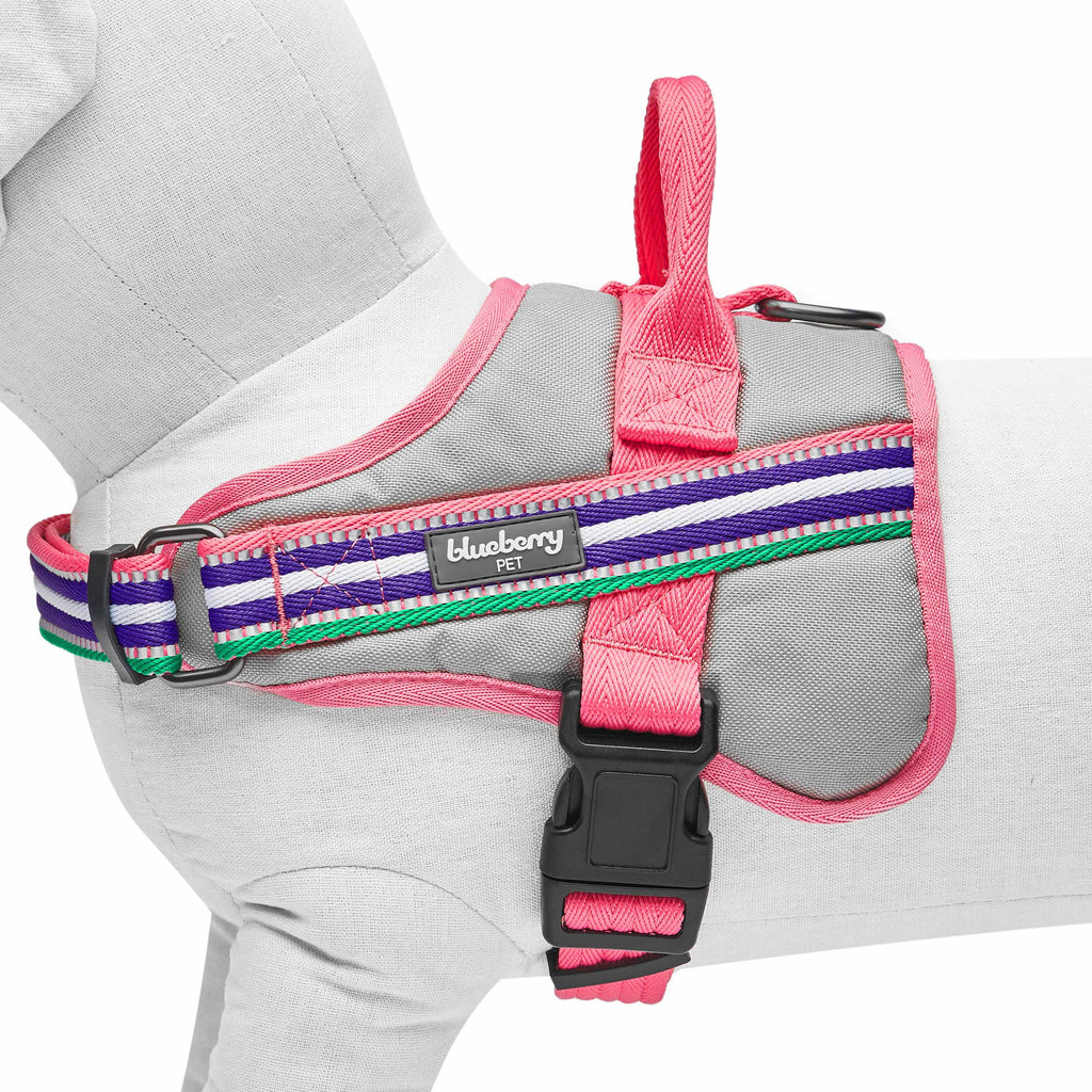 Blueberry pet 3m reflective harness best sale