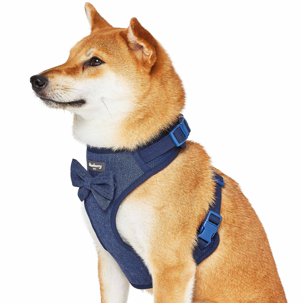 Blueberry Pet Enchanting Sea Dog Harness Vest X-Small