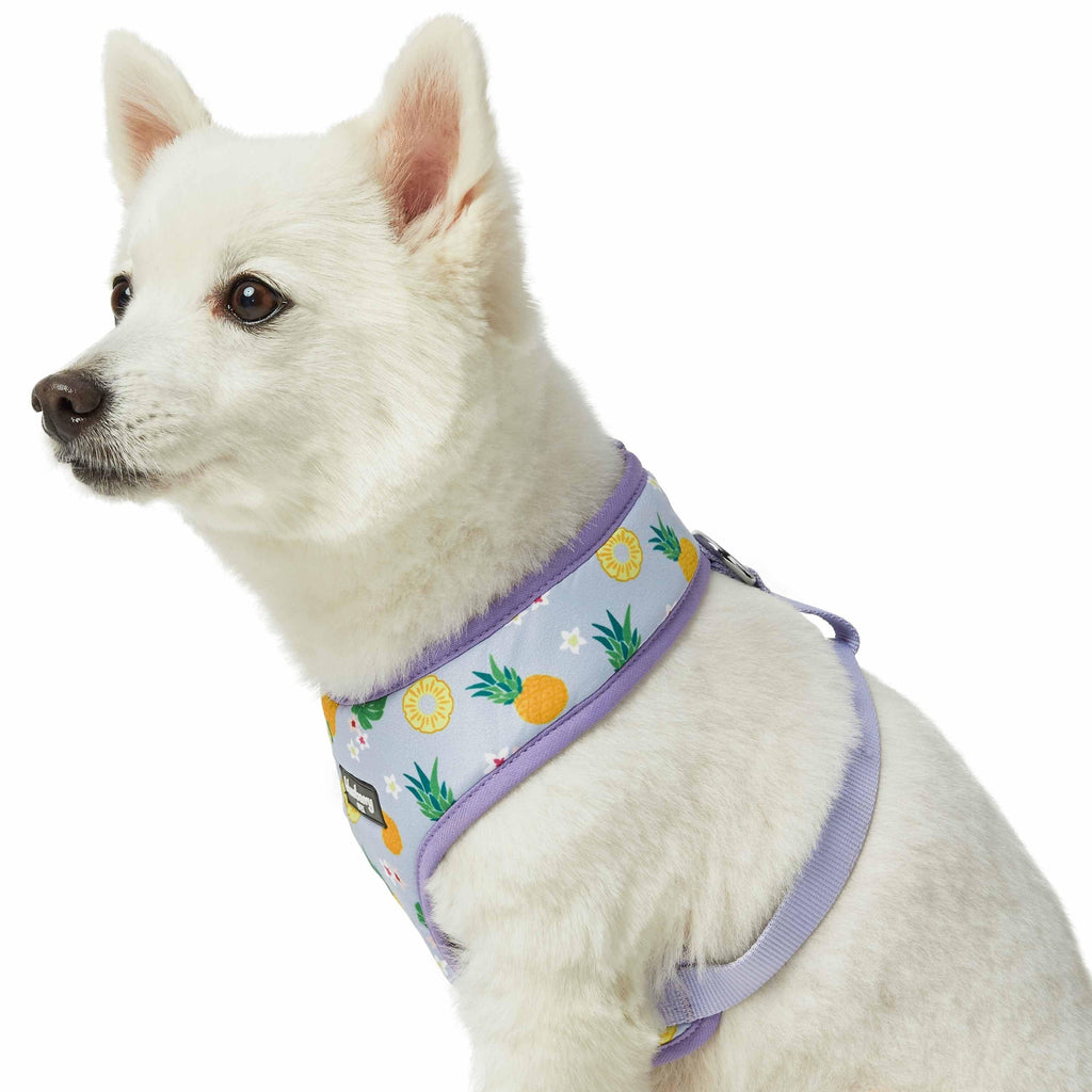 Strawberry Harness, Dog Collar & Leash Set | Personalized Free