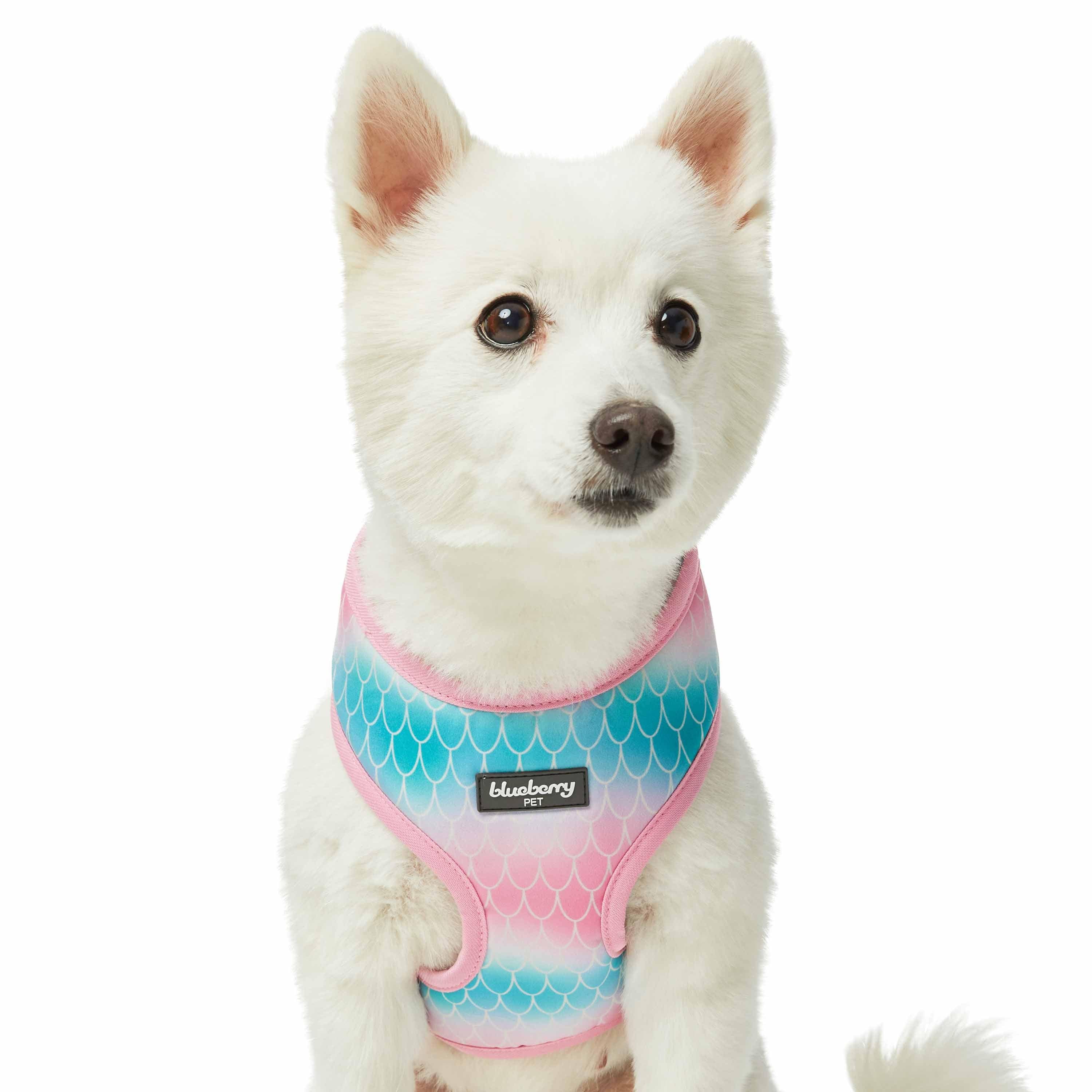 Comfort Mesh Dog Harness