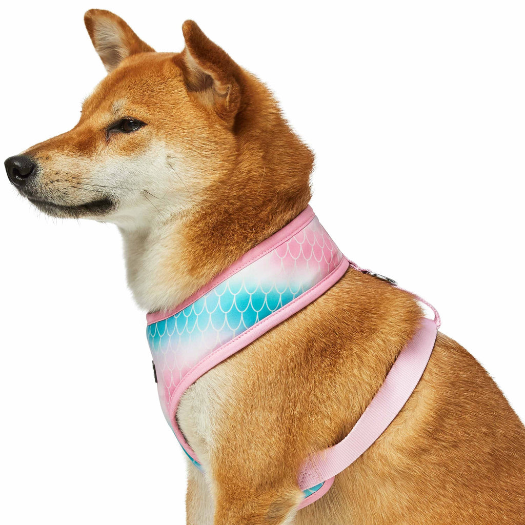 Blueberry Pet Enchanting Sea Dog Harness Vest X-Small