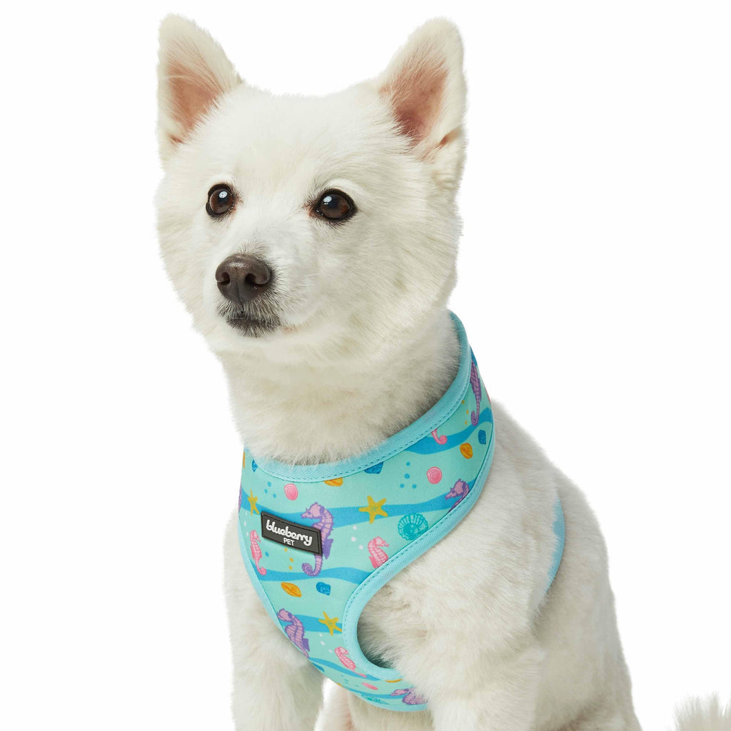 Blueberry 2025 pet harness