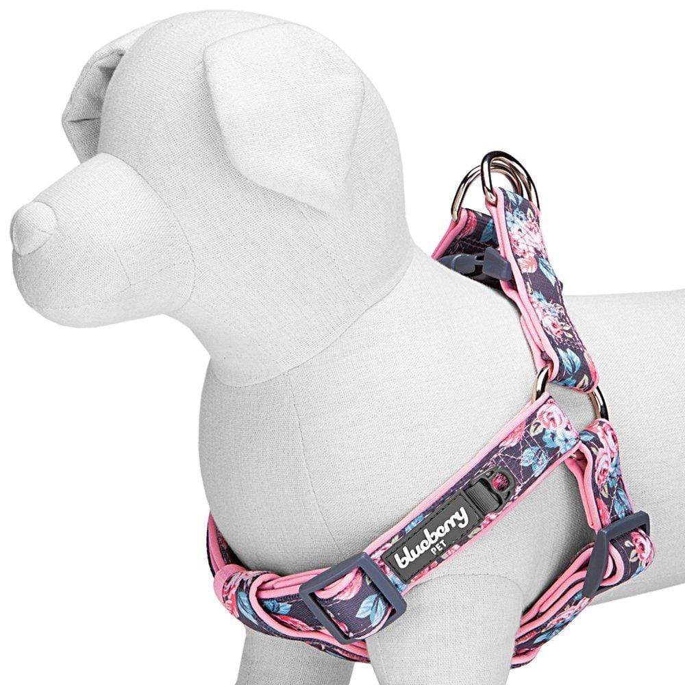 Floral dog harness best sale