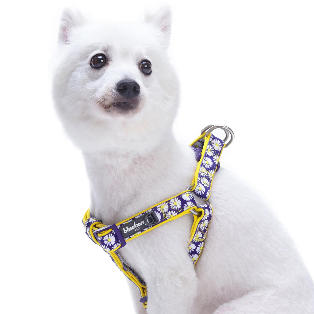 Daisy print dog store harness