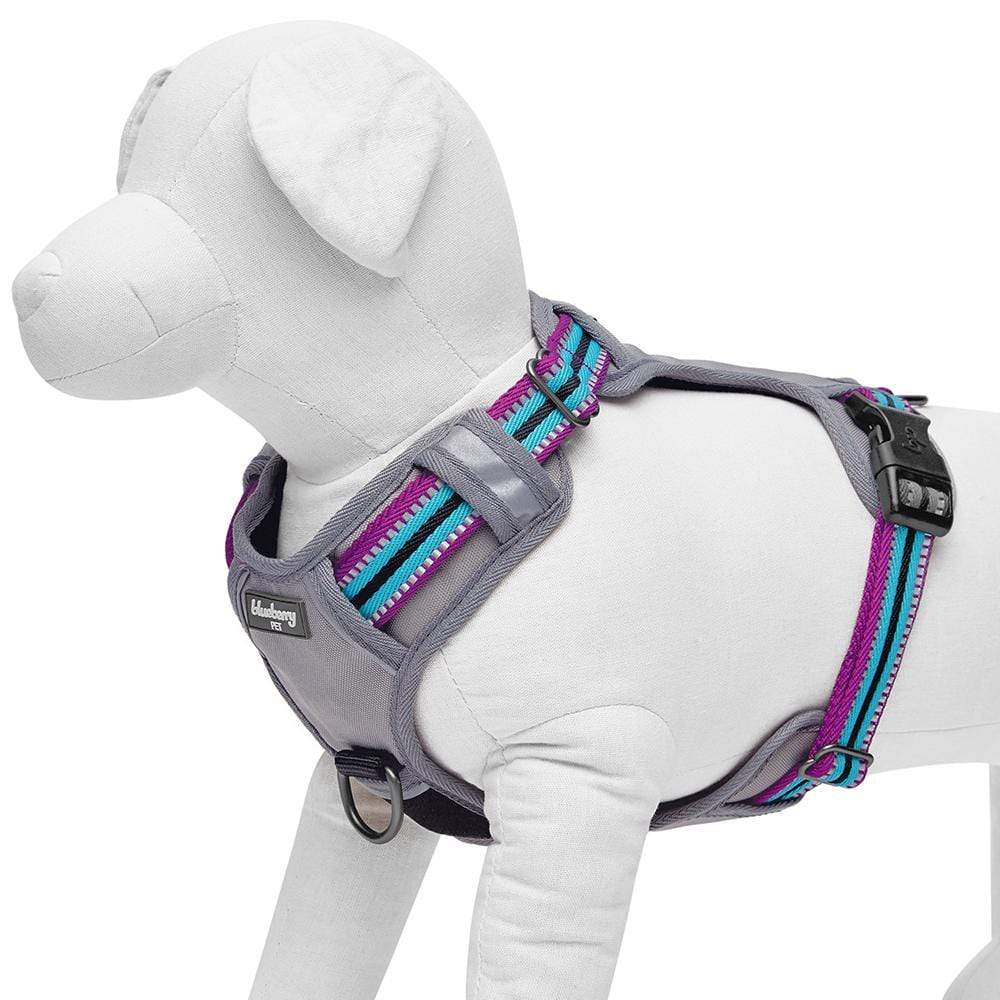 Blueberry Pet Enchanting Sea Dog Harness Vest X-Small