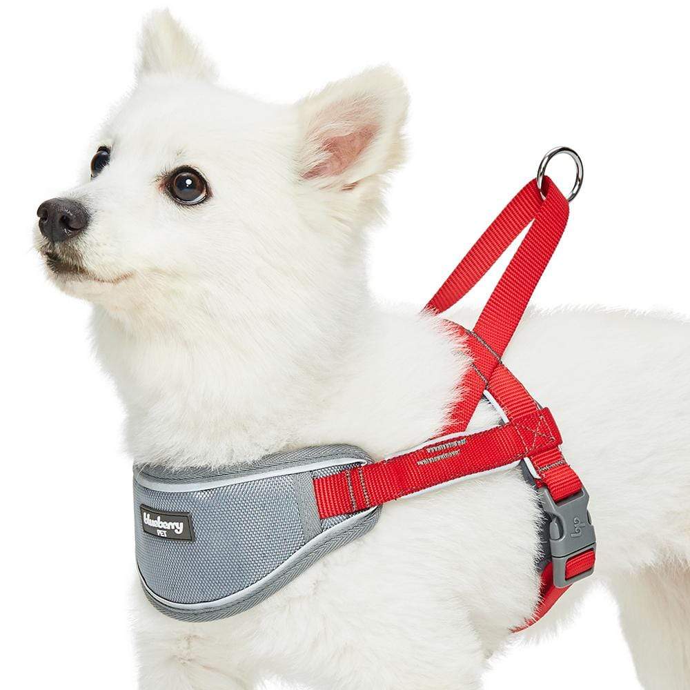  YIMEIS Dog Harness and Leash Set, No Pull Soft Mesh Pet  Harness, Reflective Adjustable Puppy Vest for Small Medium Large Dogs, Cats  (Tiffany Blue, Small (Pack of 1) : Pet Supplies