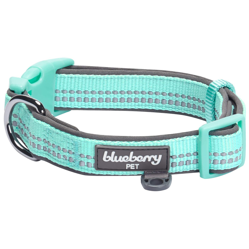 Blueberry Pet Sports Fan Football Canvas Adjustable Dog Collar