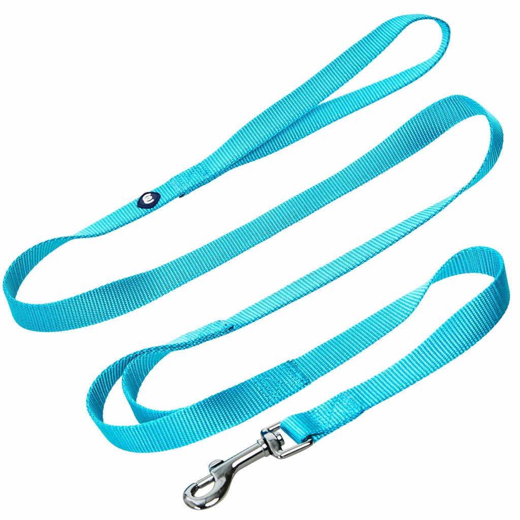 Double Handle Dog Leash Durable Nylon 5ft 4ft Long for Puppy Small Medium Large Boy Girl Pets Blueberry Pet