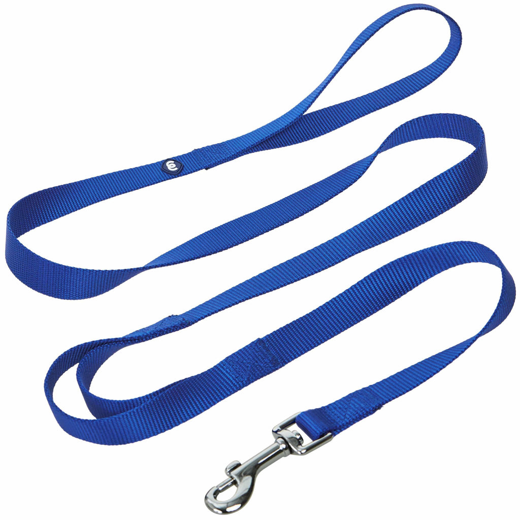 Blueberry Pet Neoprene Handle Rope Leash in Diagonal Stripe - Blue 4 ft