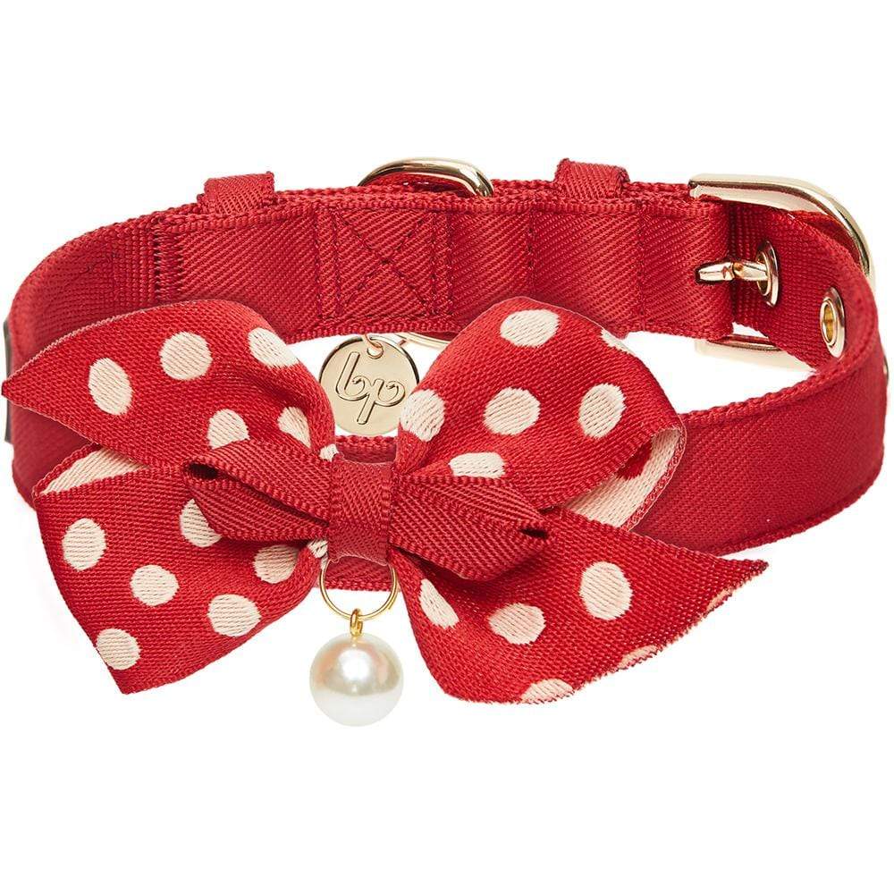 Lime Green & Navy Polka Dots Designer Dog Leash  Designer dog leash, Navy  polka dots, Dog collars & leashes