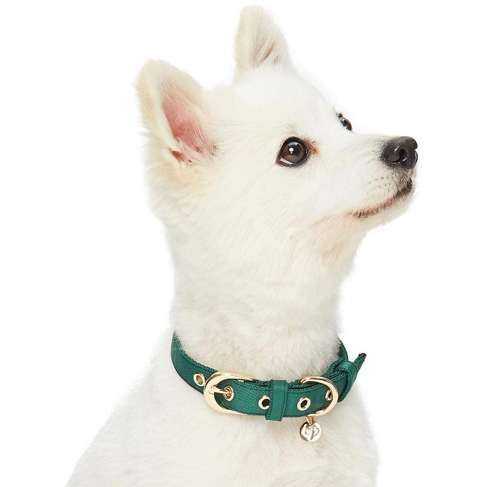 Fluffy dog collars hotsell