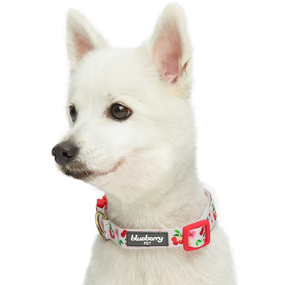 Dog Collar Medium - Gardenia Porcelain