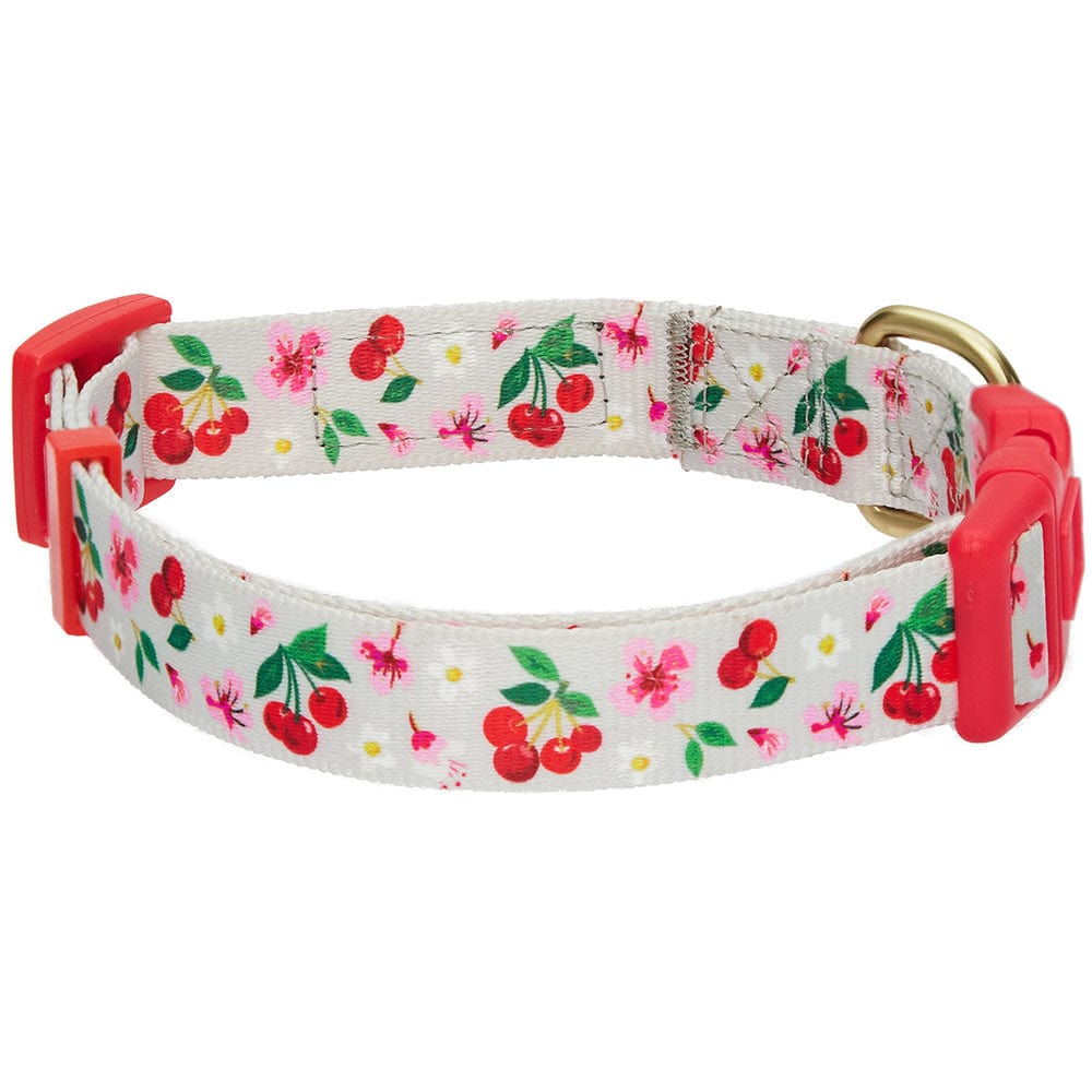 Cherry dog outlet collar