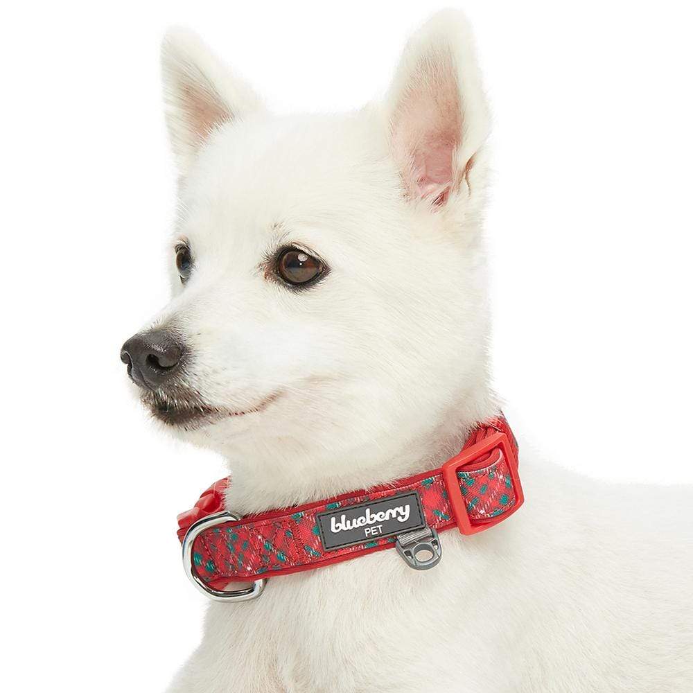 Plaid Pattern Neoprene Padded Dog Collar