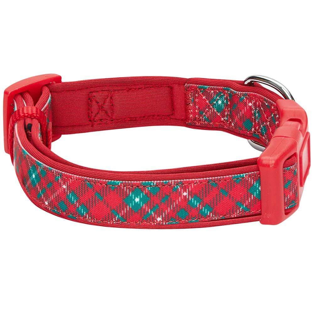 Petco clearance puppy collars