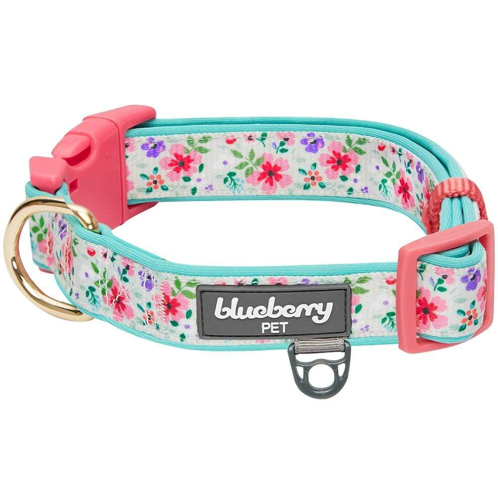 Blueberry Dream Puppy Paint Drops Dog Collars or Leads (1 Wide) Large Martingale Collar