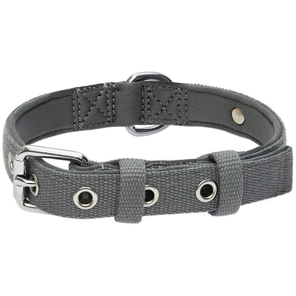 Leather Dog Collar - Taupe