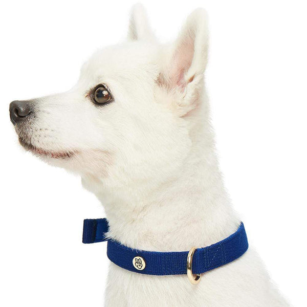 Blueberry Pet Modern Iconic Padded Dog Collar