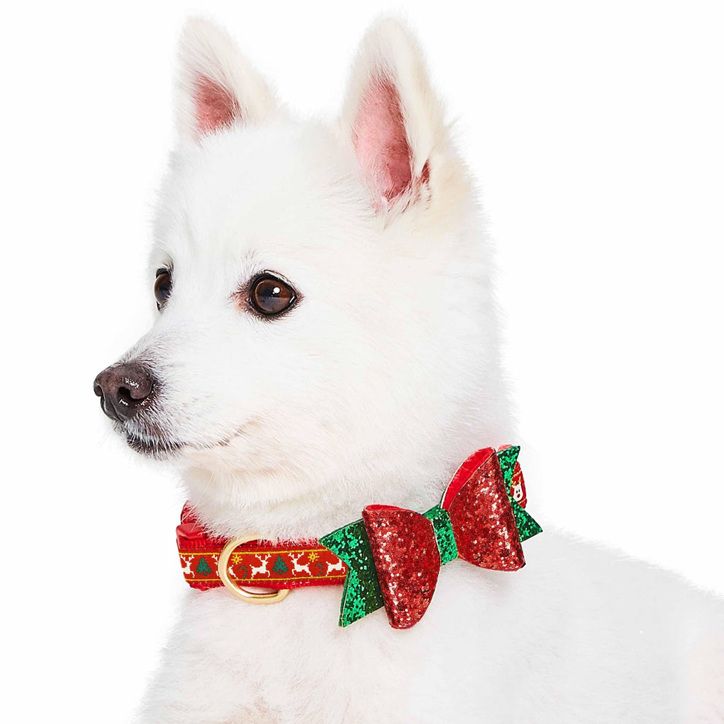 Blueberry pet christmas store collars