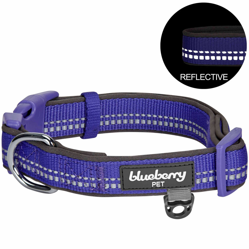 Reflective Hues of Spring 3M Reflective Neoprene Padded Dog Collar