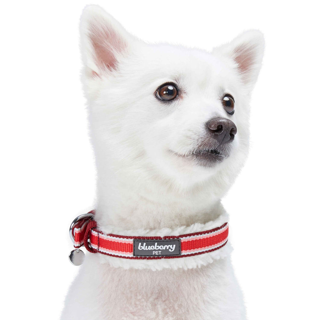 Pets First Boston Red Sox Collar, Medium